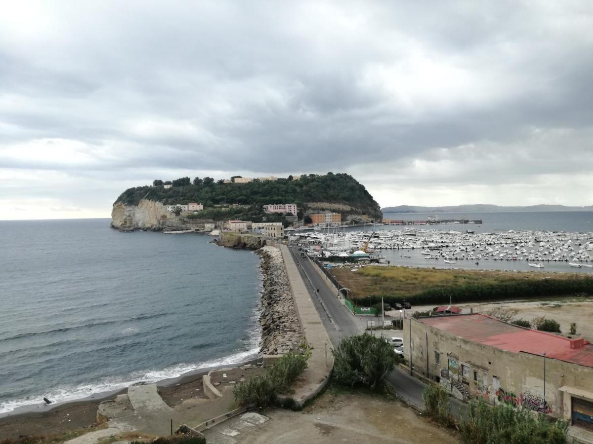 Nuvo Naples